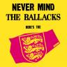 Never Mind The Ballacks - Shirt